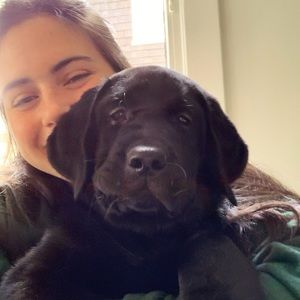 Meet your Posher, Bridget